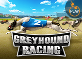 Greyhound